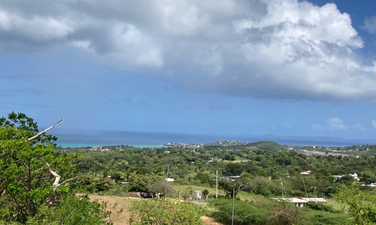 Rainbow Realty is now on the Stellar MLS!