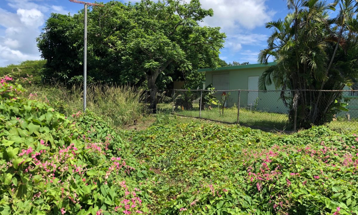 Rainbow Realty, Vieques, PR