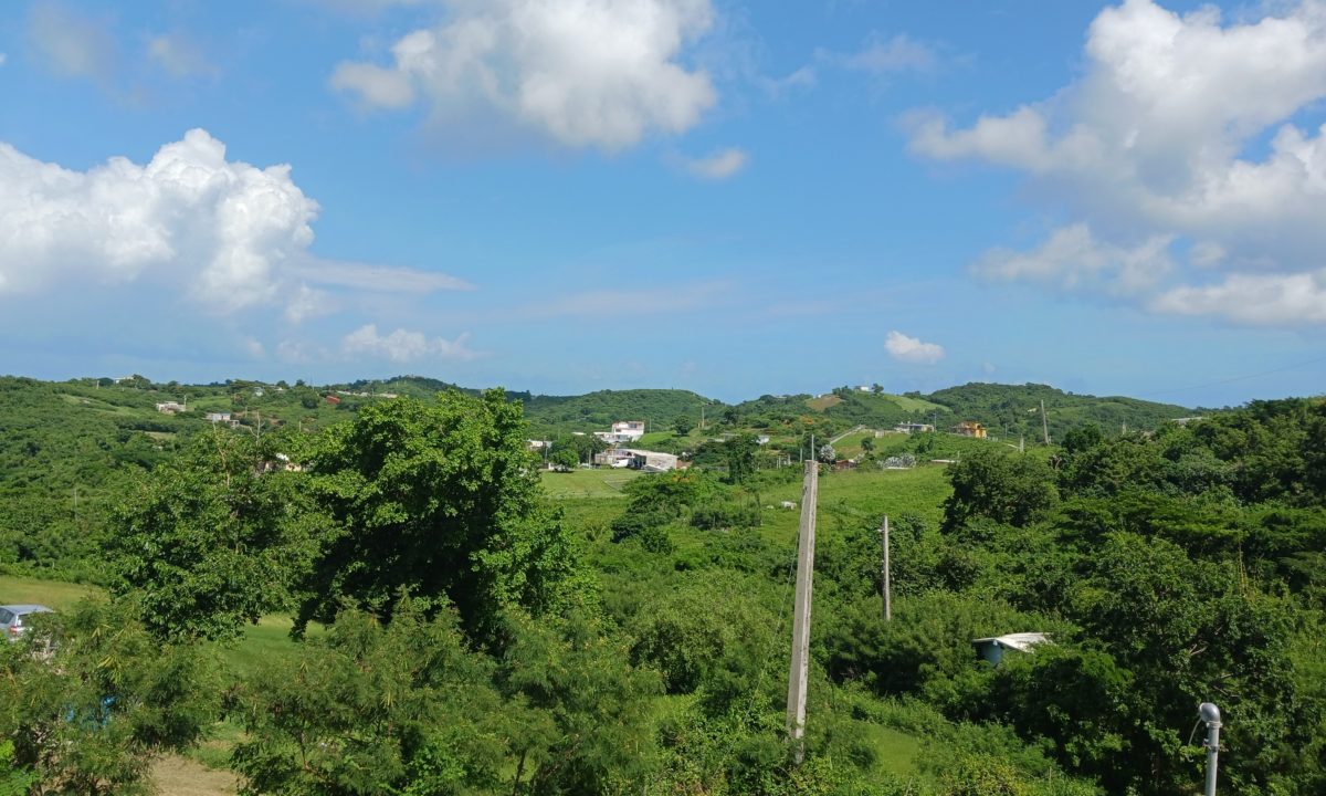 Monte Carmelo Views view