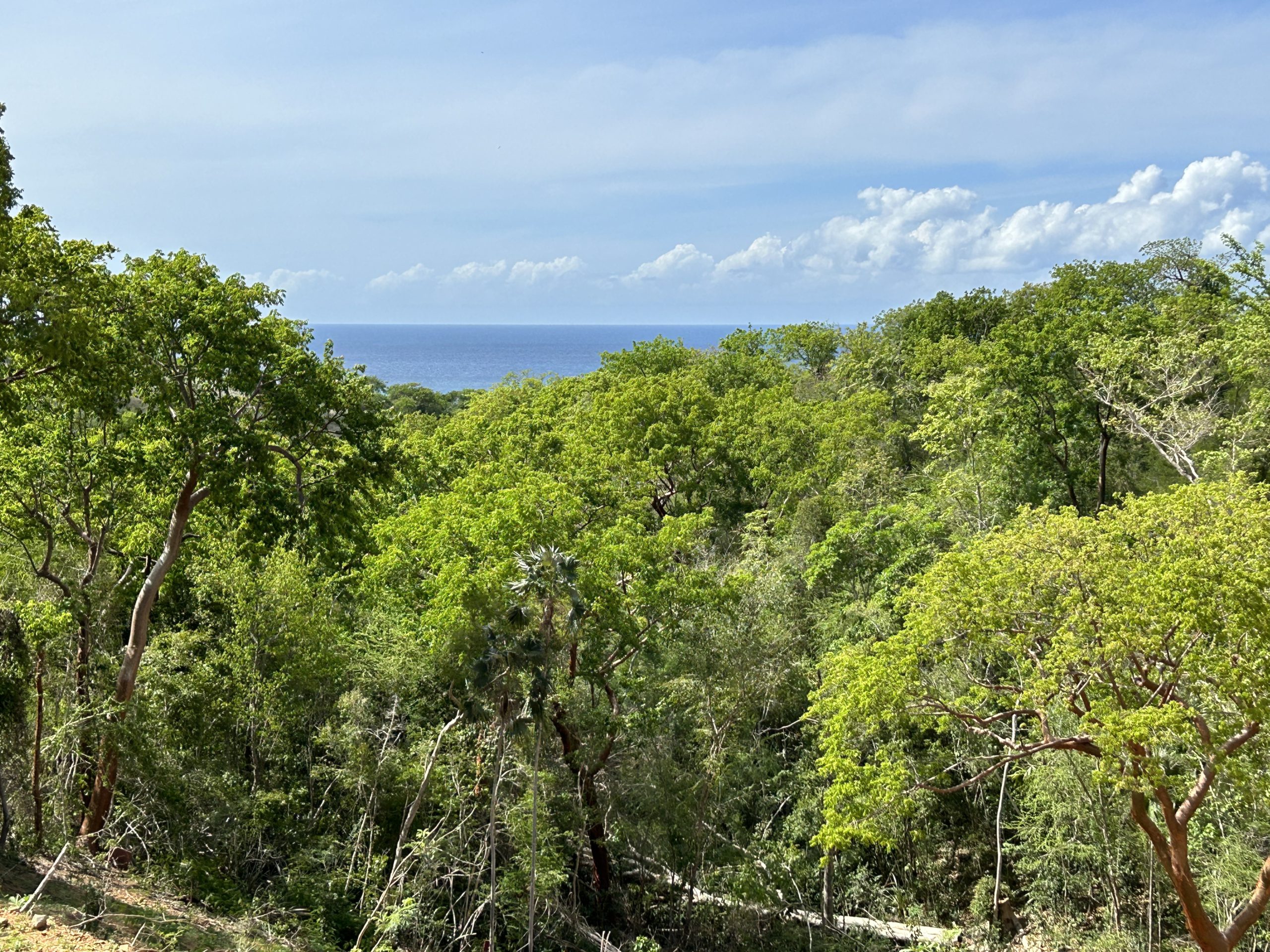 Rainbow Realty, Vieques, PR