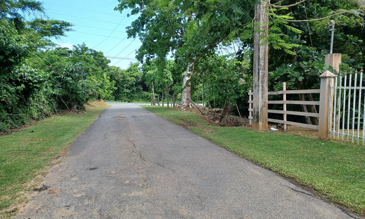 Rainbow Realty, Vieques, PR