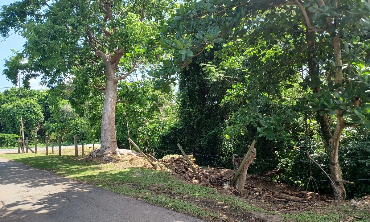 Rainbow Realty, Vieques, PR